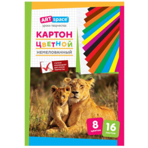 Картон цветной 16 листов 8 цветов А4 Artspace, немелованный, в папке НКН16-8_6961