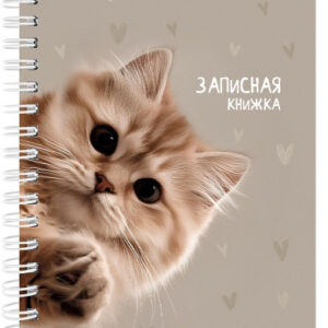Книжка записная А6 80 листов Забавный котик 3, гребень 80-9512