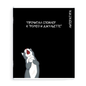 Тетрадь 48 листов П Литература Коты мемы 69832