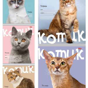 Тетрадь 24 листа клетка Котик на цветном фоне 24-5770