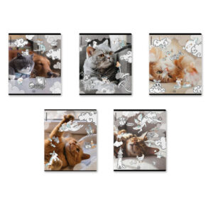Тетрадь 48 листов ErichKrause Dream Cat Mix-Pack, пластиковая обложка 54161
