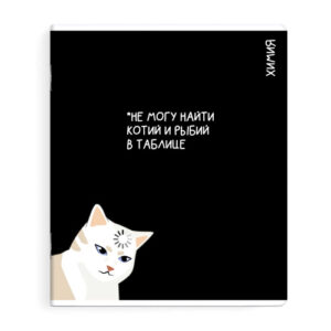 Тетрадь 48 листов П Химия Коты мемы 69826
