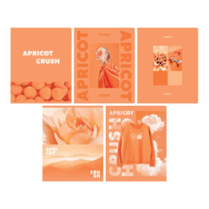 Тетрадь 48 листов BG Apricot Т5СК48_ЛМ 12721