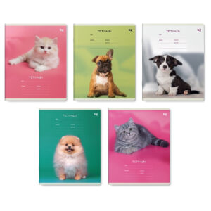Тетрадь 12 листов линейка BG Little Animal Т5СК12 60292