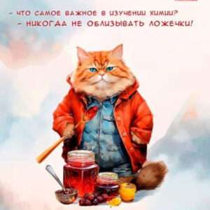 Тетрадь 48 листов П Химия Жил был кот Т48-1450