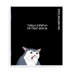 Тетрадь 48 листов П Английский язык Коты мемы 69828