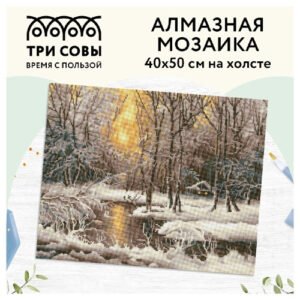 Алмазная мозаика на холсте 40х50см Зима Три совы АМ4050_47556